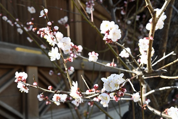 心豊かな日本の四季