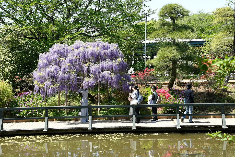 満喫したい