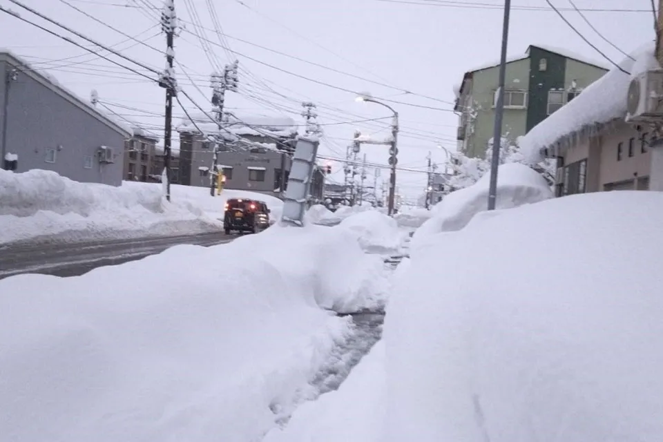 大変なんだから