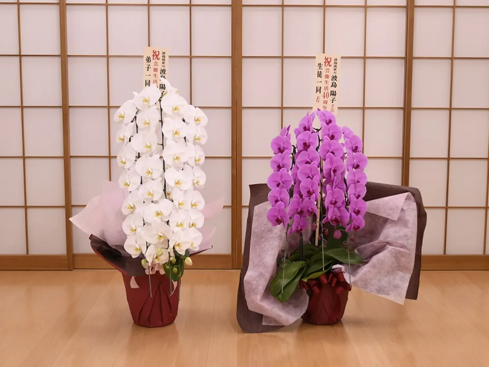感謝の40年
