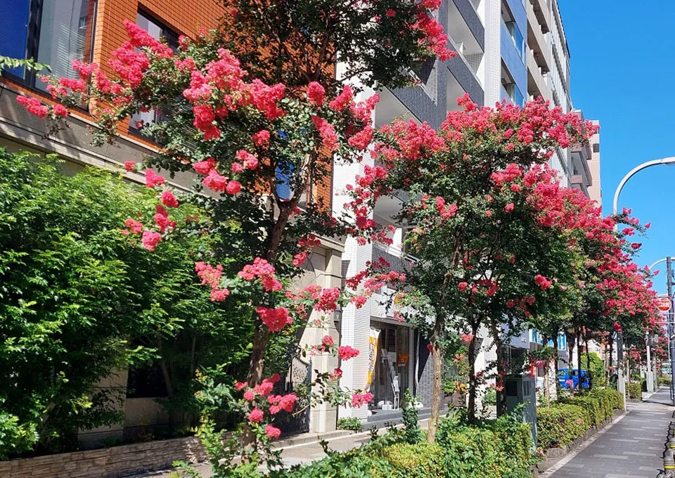 美しい佇まい