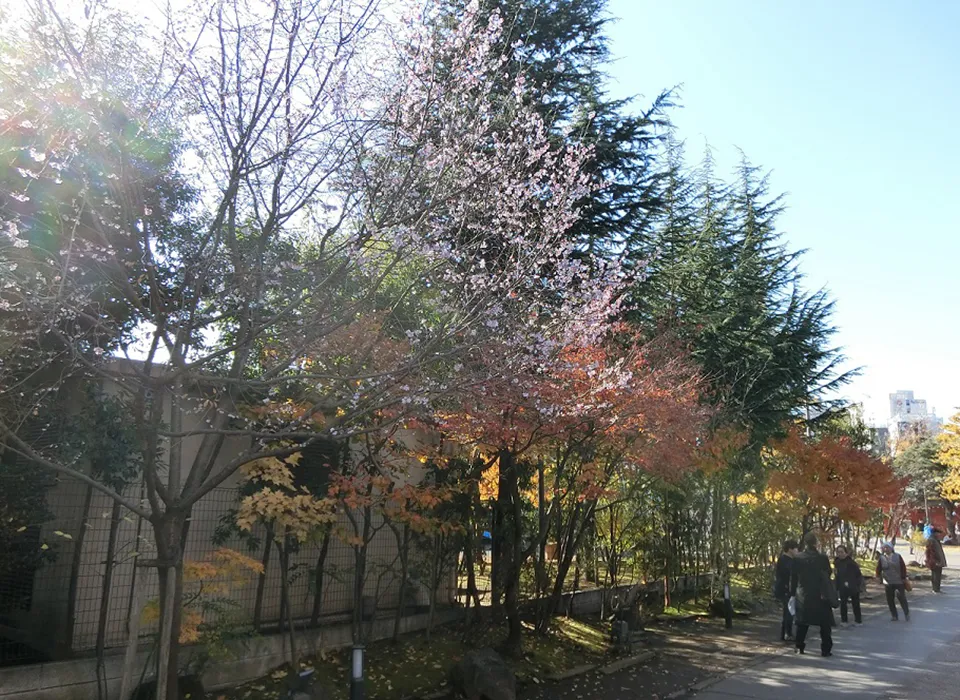 不思議な気持ち