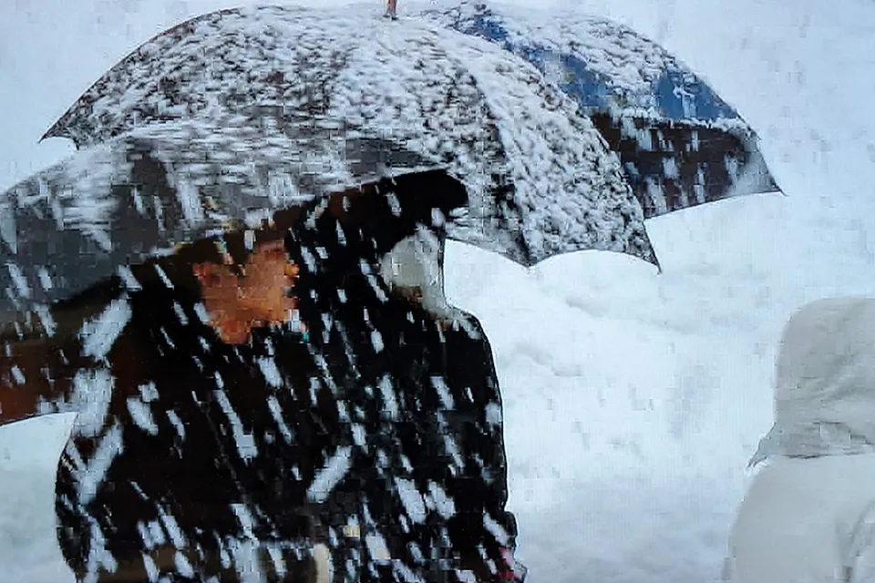 雪国育ちが語る