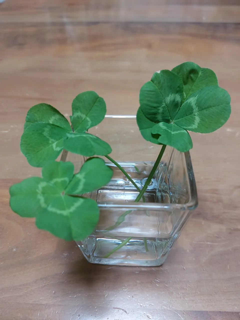 美しい日本の心