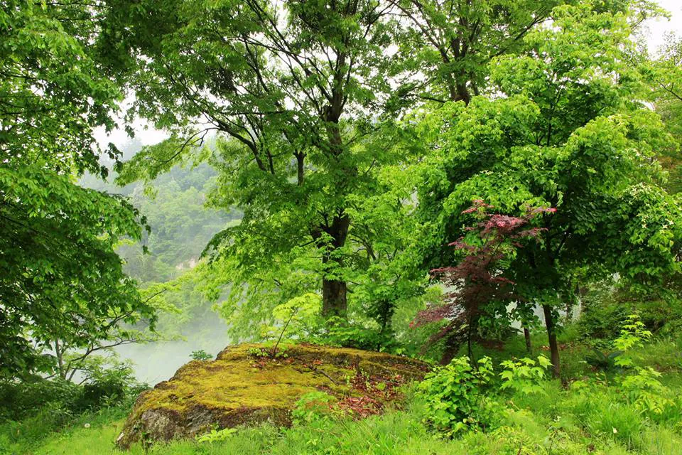 美しい日本の心