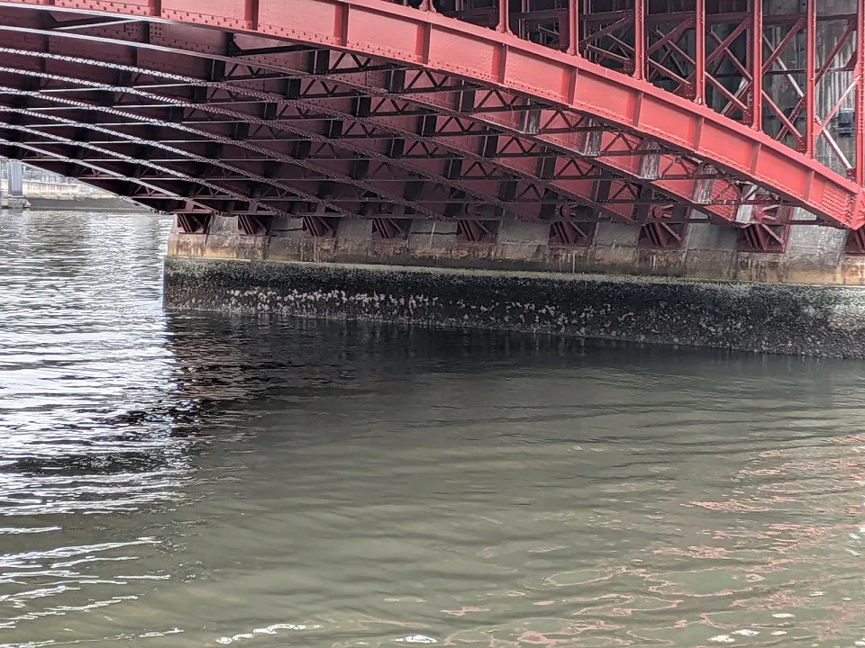 隅田川も・・・